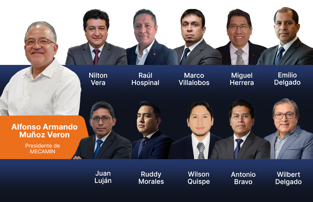 Comite-consultivo-mecamiiiiiiiiin